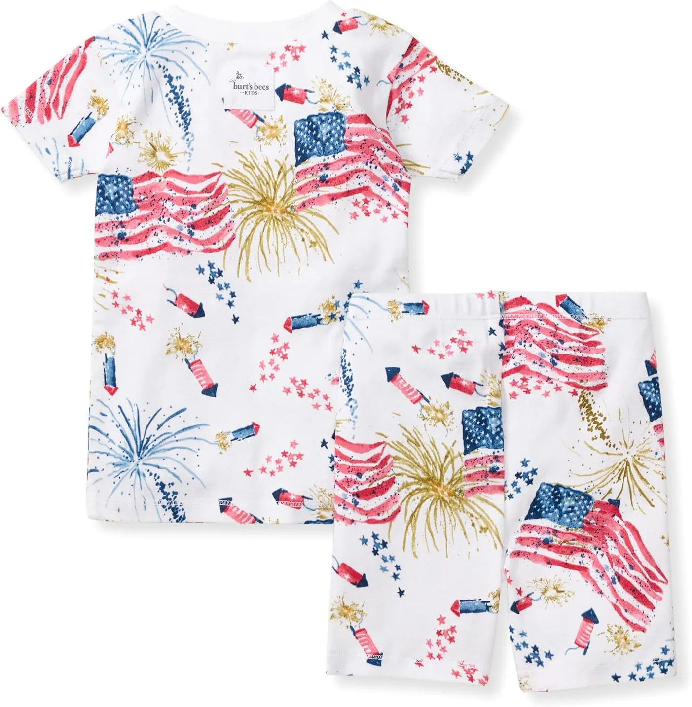 Burt's Bees Baby Baby Boys' Pajamas, Tee and Pant 2-Piece Pj Set, 100% Organic Cotton