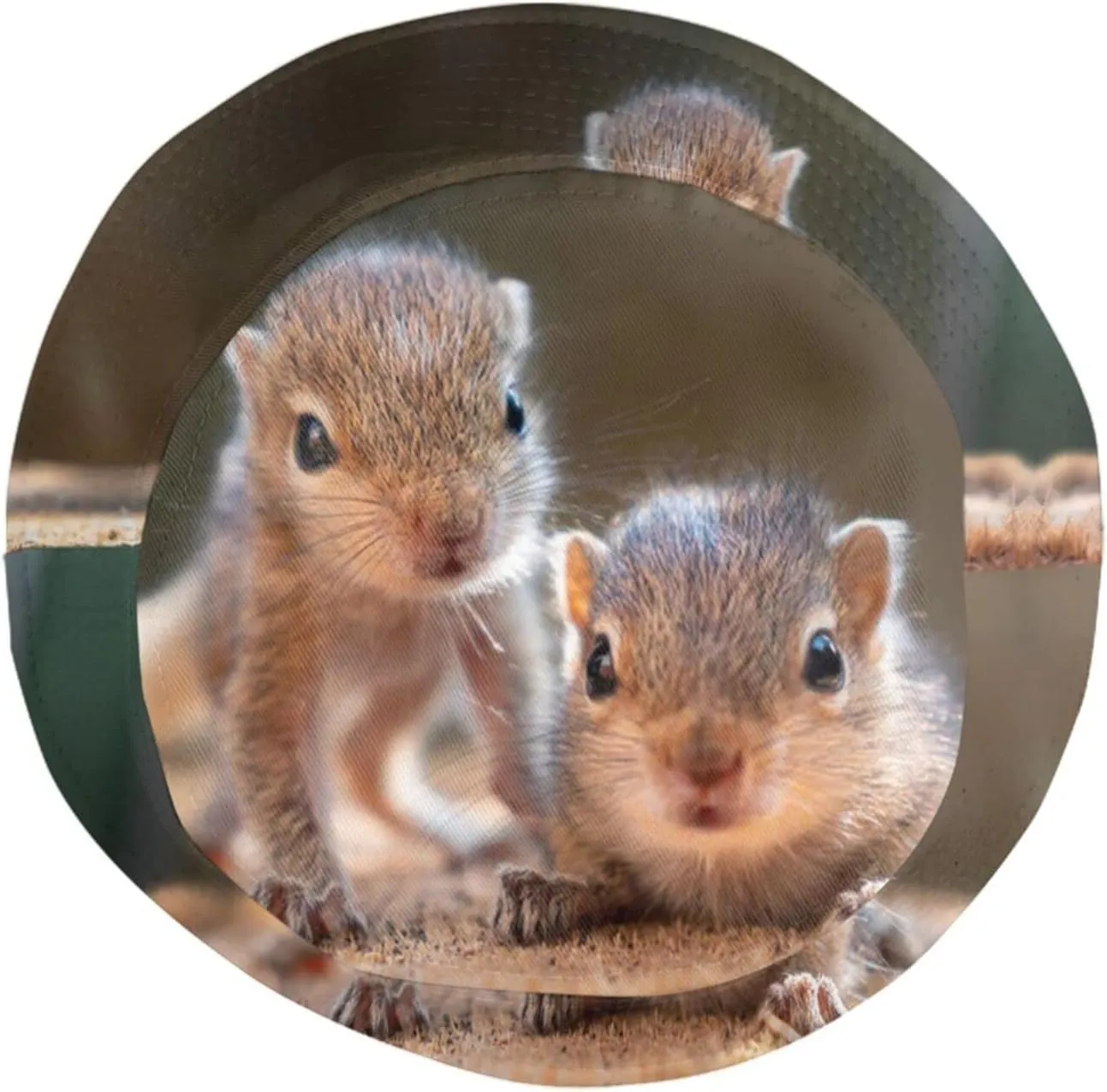 Squirrel Bucket Hat Cute Animal Sun Protection Wide Brim Hats Packable Summer Travel Boonie Cap for Men Women